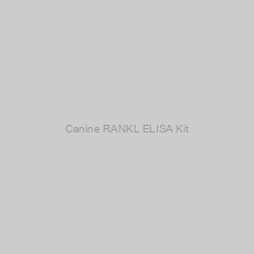 Image of Canine RANKL ELISA Kit